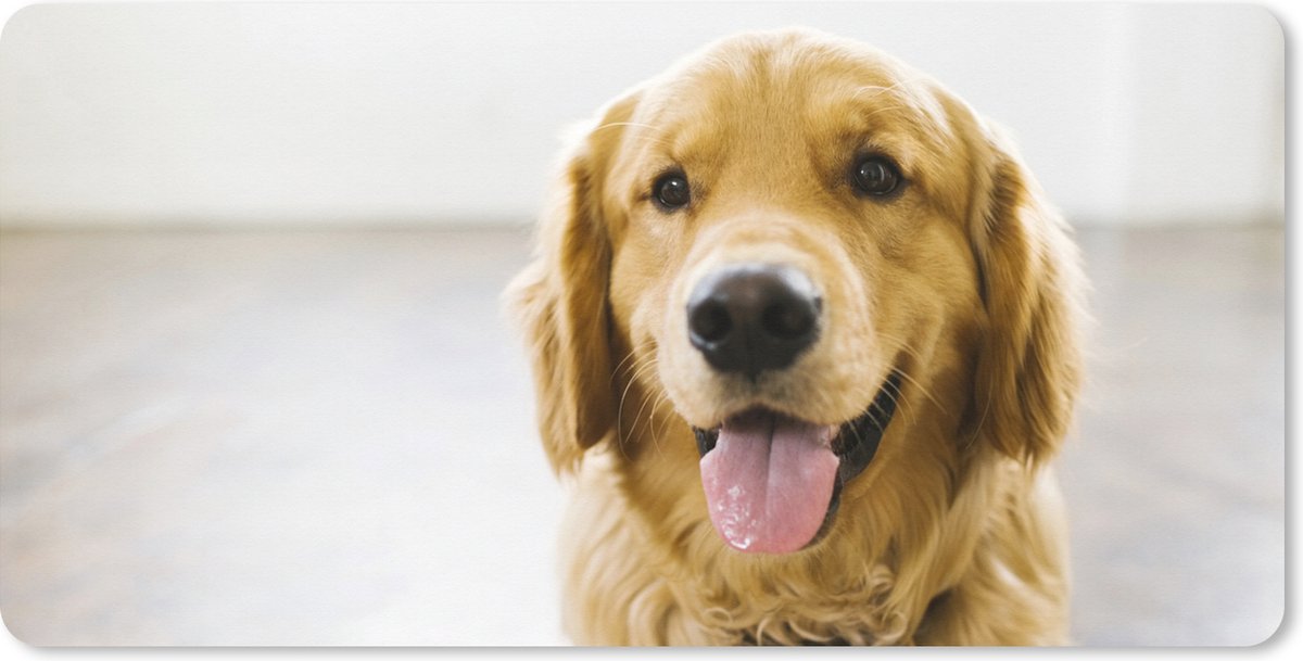 Muismat XXL 100x50 cm - Bureau onderlegger - Bureau mat Portret van een super mooie Golden Retriever - Bureaumat - Gaming mousepad xl - Bureaulegger groot - Computer deskmat