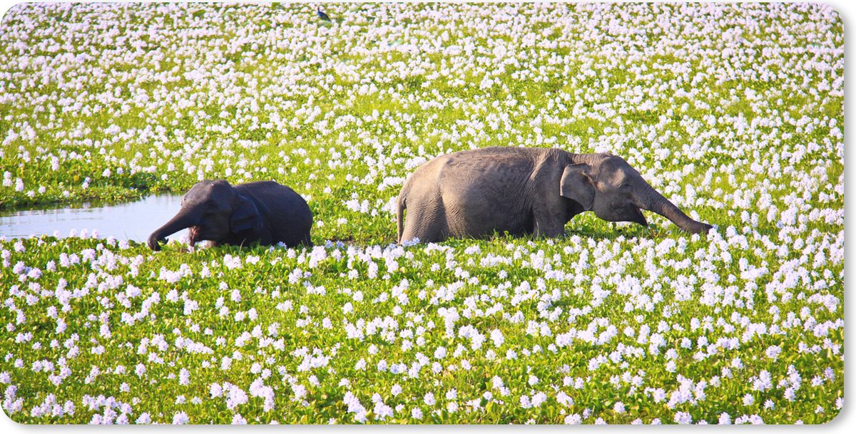 Muismat XXL 80x40 cm - Bureau onderlegger - Bureau mat Moeder en baby olifant in een bloemenveld - Bureaumat - Gaming mousepad xl - Bureaulegger groot - Computer deskmat