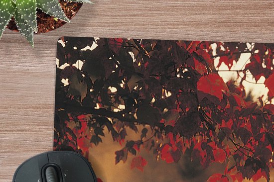 Muismat XXL - Bureau onderlegger - Bureau mat - Herfstbladeren in de VS - 120x80 cm - XXL muismat