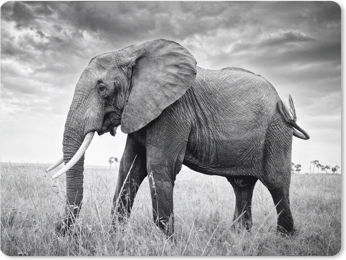 Muismat XXL 80x60 cm - Bureau onderlegger - Bureau mat Olifant - Gras - Dieren - Zwart wit - Bureaumat - Gaming mousepad xl - Bureaulegger groot - Computer deskmat