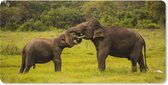 Muismat XXL - Bureau onderlegger - Bureau mat - Olifant - Gras - Dieren - Groen - 90x45 cm - XXL muismat