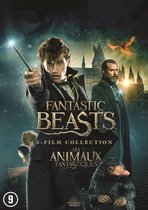 Fantastic Beasts 1 - 3 (DVD)