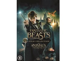 Fantastic Beasts 1 - 3 (DVD) Fantastic Beasts 1 - 3 (DVD)