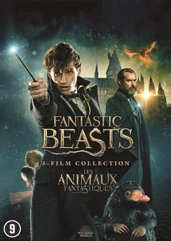 Fantastic Beasts 1 - 3 (DVD)