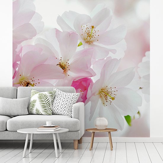 Papier peint photo vinyle - Macro photo de fleur de cerisier largeur 240 cm x hauteur 240 cm - Tirage photo sur papier peint (disponible en 7 tailles)