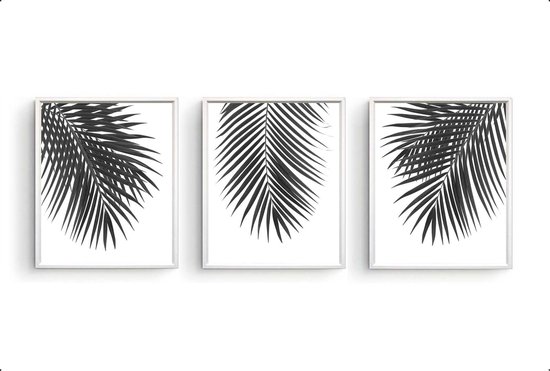 Poster Set 3 Palmboom bladeren Zwart / Wit - Tropisch Blad - Planten Poster - Muurdecoratie - 40x30cm - PosterCity