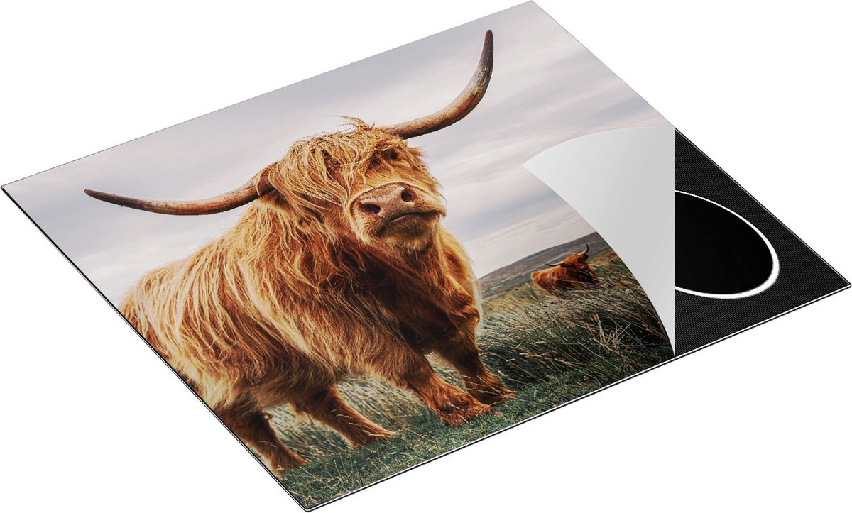 Chefcare Inductie Beschermer Schotse Hooglander Koeien in de Wei - 60x52 cm - Afdekplaat Inductie - Kookplaat Beschermer - Inductie Mat