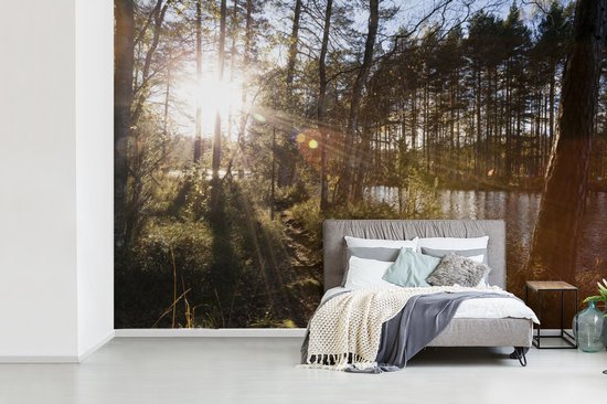 Papier peint photo vinyle - Les rayons du soleil brillent entre les arbres du parc national de Nuuksio en Finlande largeur 360 cm x hauteur 240 cm - Tirage photo sur papier peint (disponible en 7 tailles)