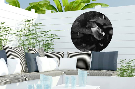 Cercle de jardin Colibri entre les fleurs roses anciennes et les papillons - noir et blanc - 60x60 cm - Affiche de jardin ronde - Extérieur