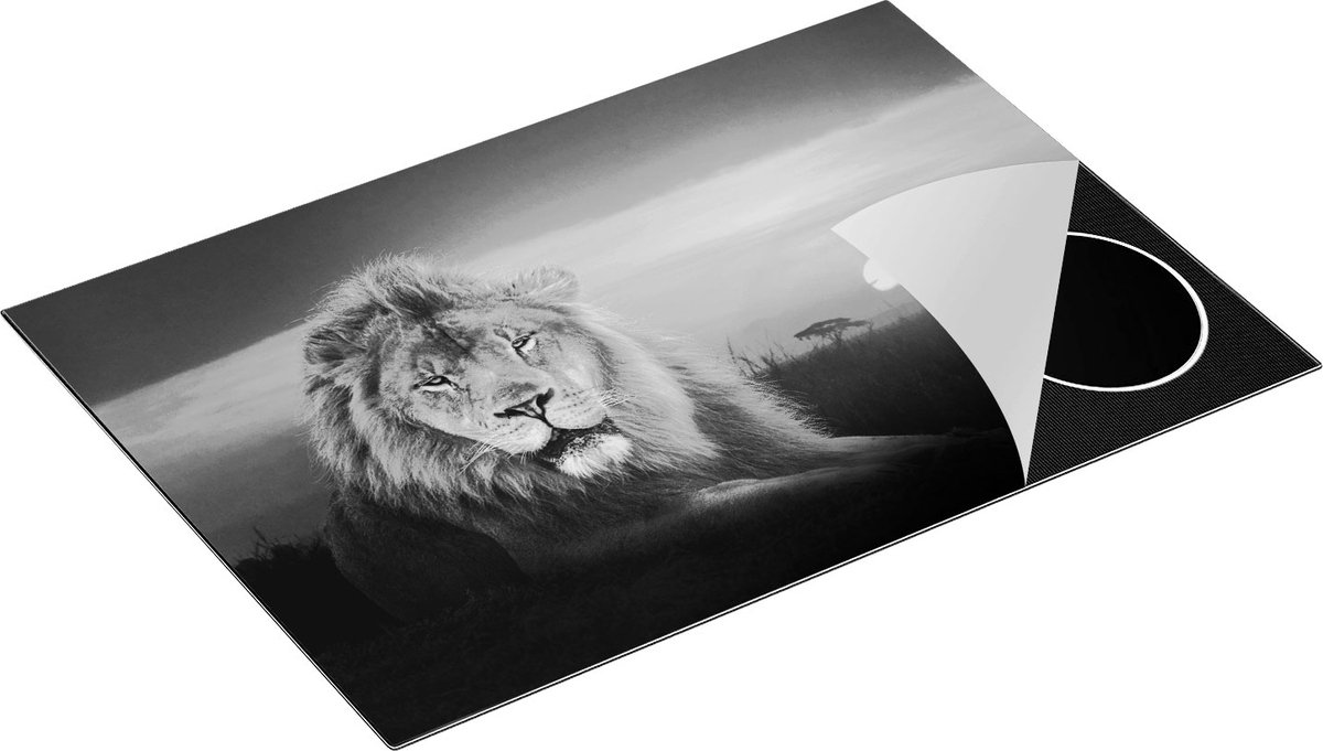 Chefcare Inductie Beschermer Leeuw in de Savanne - Zonsondergang - Zwart Wit - 75x50 cm - Afdekplaat Inductie - Kookplaat Beschermer - Inductie Mat