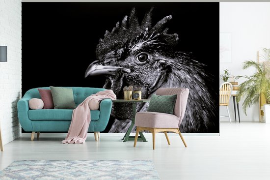Papier peint - Papier peint Papier peint photo Coq - Vogel - Zwart - Wit - Largeur 600 cm x hauteur 400 cm