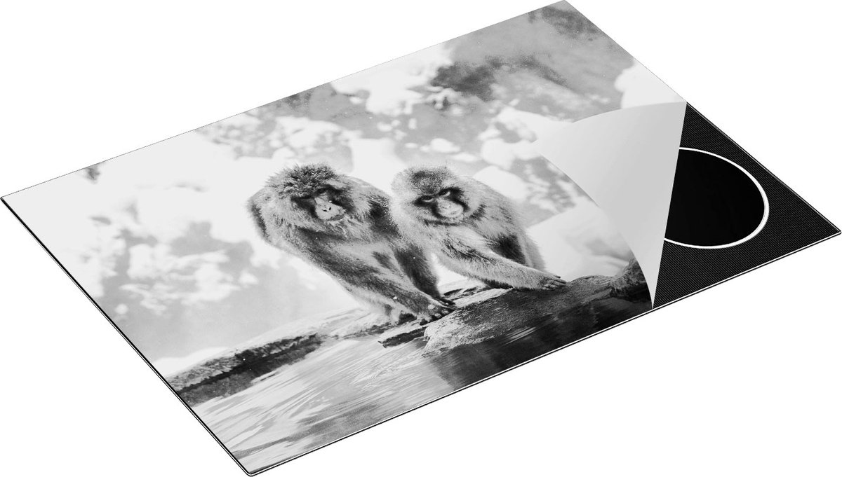 Chefcare Inductie Beschermer Twee Aapjes in de Sneeuw op Rotsen - Zwart Wit - 76x51,5 cm - Afdekplaat Inductie - Kookplaat Beschermer - Inductie Mat