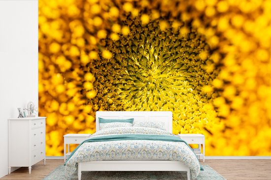 Papier peint - Papier peint photo Graines - Fleurs - Jaune - Largeur 390 cm x hauteur 260 cm