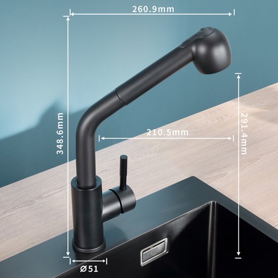 Wiesbaden Keukenkraan Tarma | Opbouw | 360° Draaibaar | Mengkraan | 1