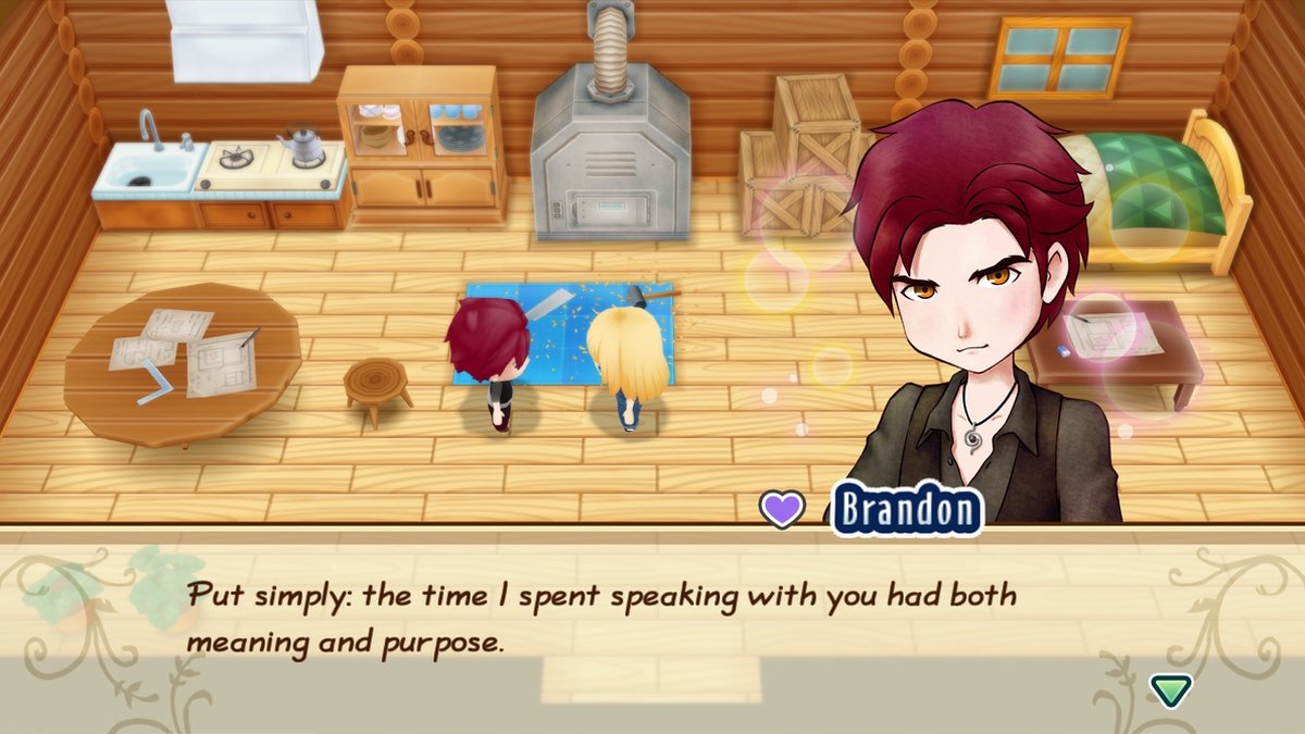 Story of Seasons Friends of Mineral Town Switch Games bol