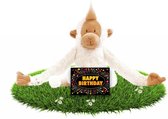 Verjaardag knuffel aapje 23 cm met gratis verjaardagskaart