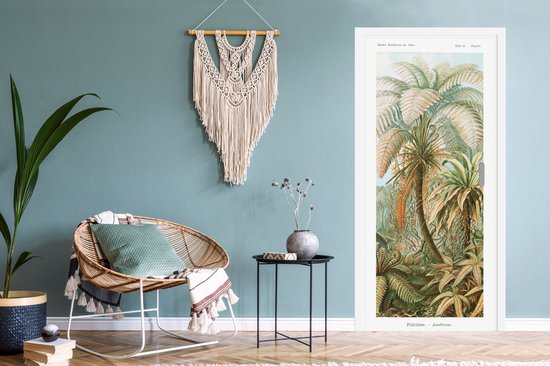 Deursticker Vintage - Oude meesters - Varens - Planten - Natuur - 90x205 cm - Deurposter