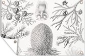 Tuinposter - Kunst - Schuttingposter - Ernst Haeckel - Tuin - 120x80 cm - Tuindecoratie - Muurdecoratie - Tuindoek - Buitenposter