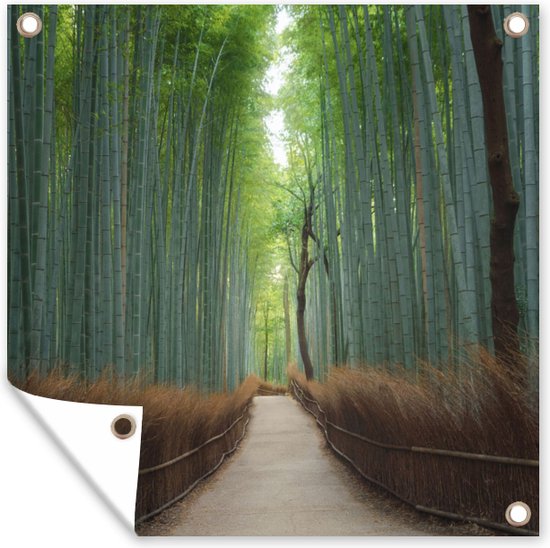 Tuinposter - 100x100 cm - Bamboe - Bos - Japans - Doorkijk