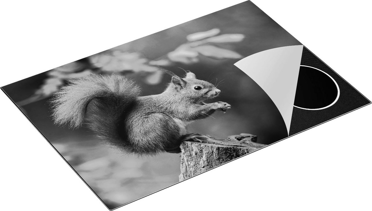 Chefcare Inductie Beschermer Eekhoorn op een Boomstam in het Bos - Zwart Wit - 77x51 cm - Afdekplaat Inductie - Kookplaat Beschermer - Inductie Mat