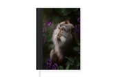 Carnet - Carnet - Singe - Jungle - Papillon - Plantes - Carnet - Format A5 - Bloc-notes