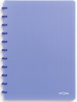 Atoma Trendy schrift, ft A4, 144 bladzijden, geruit 5 mm, transparant blauw 10 stuks