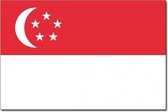 Vlag Singapore