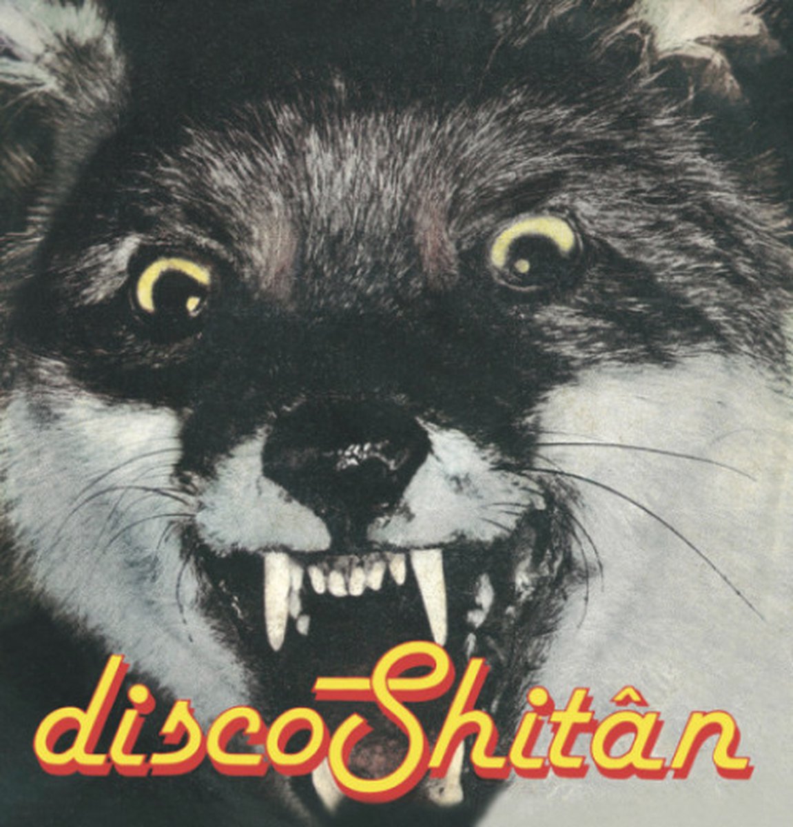 Shitân - Disco Shitân