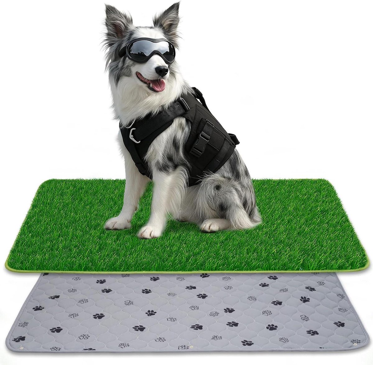 Honden toilet - Puppy trainingsmat - Zindelijkheidstraining hond - 2-in-1 ontwerp - 59 x 89 cm - Roze en groen