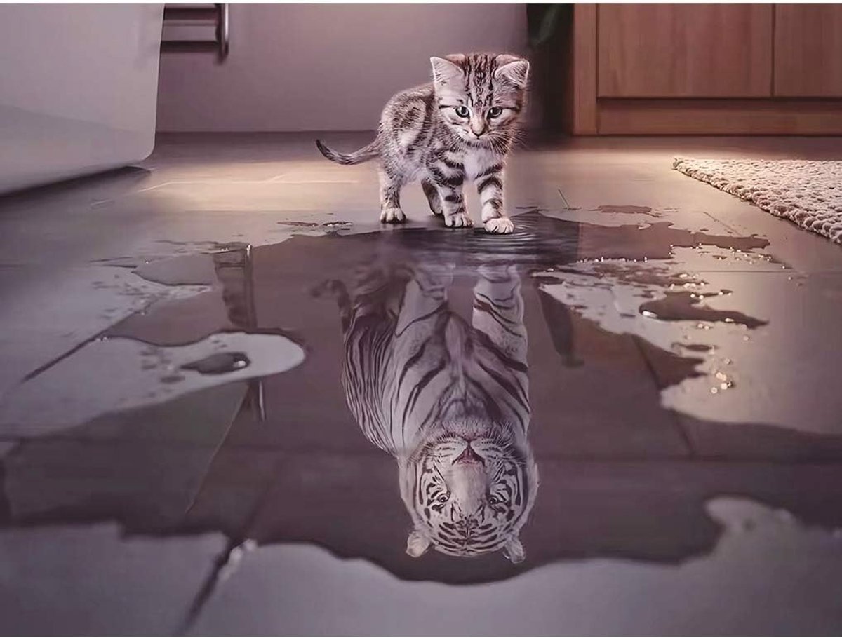 Puzzel van 1000 Stukken met een Kat en Tijger - Leuke Dierenpuzzel voor Volwassenen en Kinderen