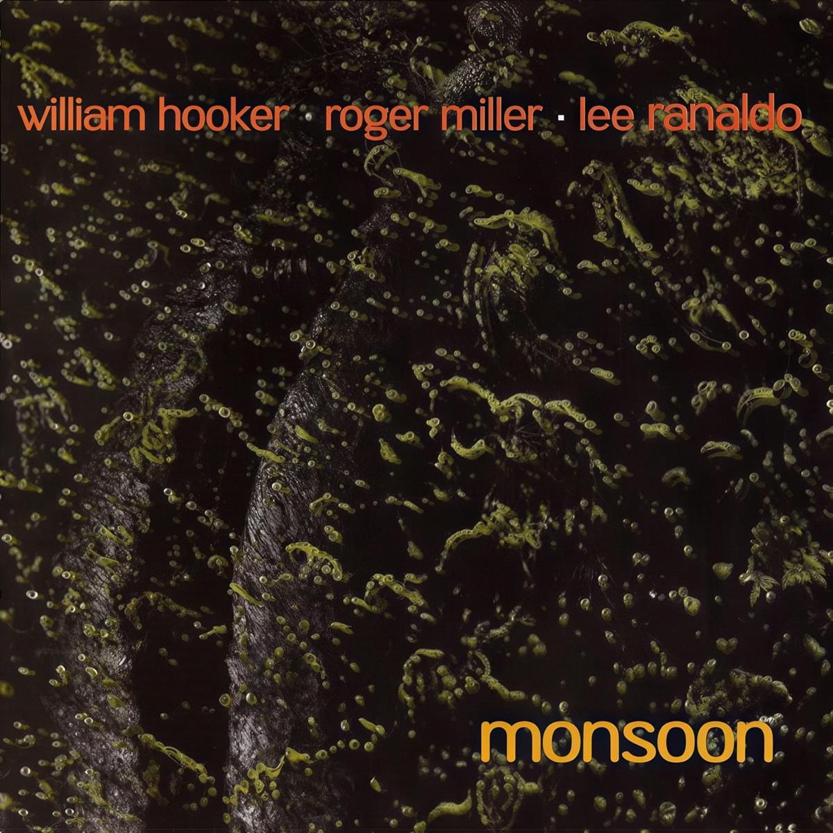 Lee Ranaldo, Roger Miller & William Hooker - Monsoon (CD)