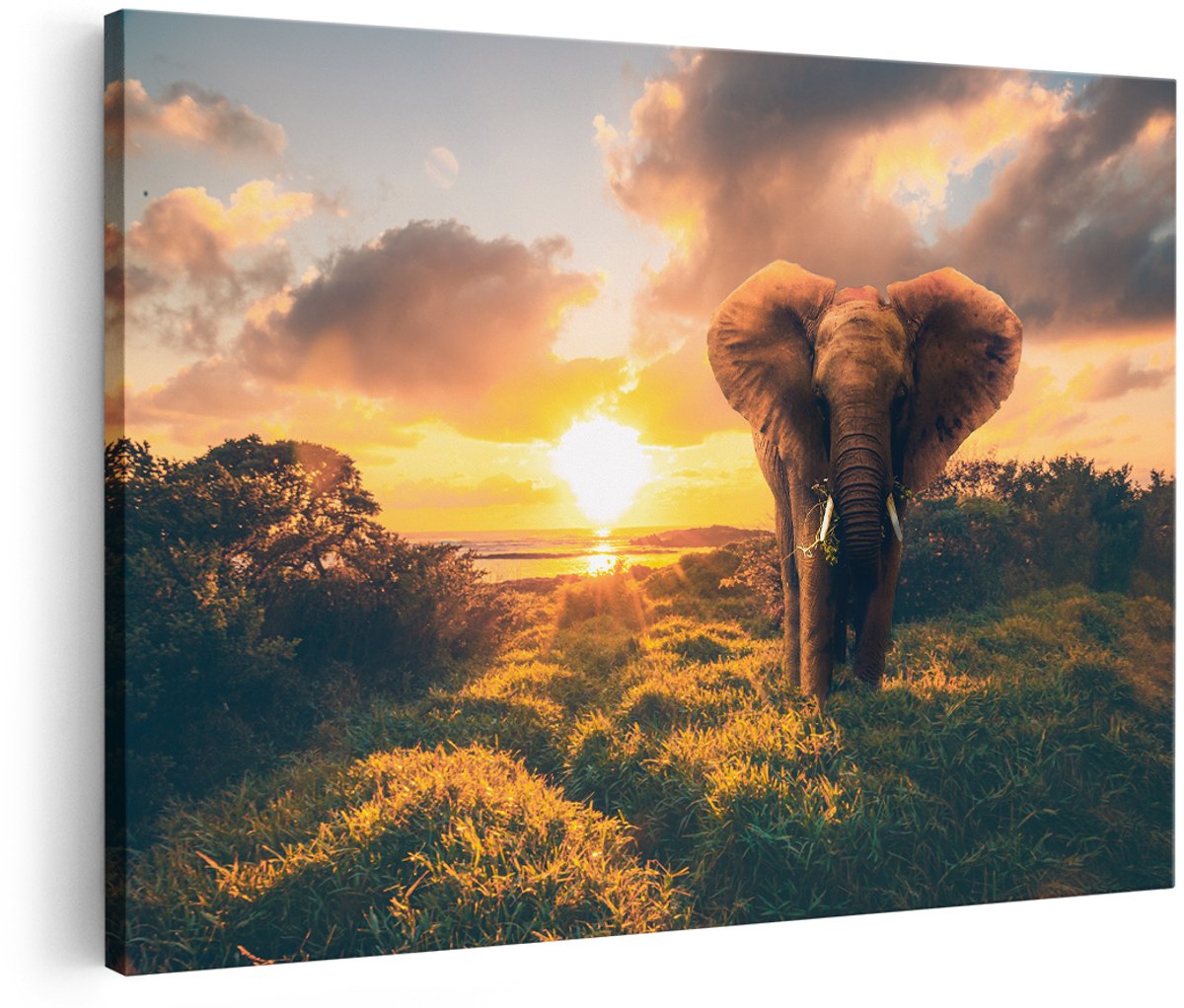 Artaza Canvas Schilderij Olifant in het Wild bij Zonsondergang - 150x100 cm - Groot - Wanddecoratie Woonkamer - Schilderijen - Muurdecoratie