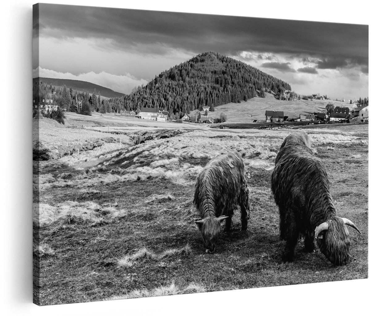 Artaza Canvas Schilderij Twee Schotse Hooglanders bij een Dorp - Zwart Wit - 150x100 cm - Groot - Foto Op Canvas - Wanddecoratie