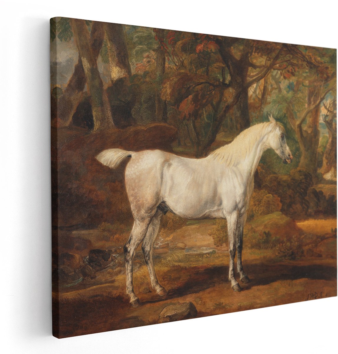 Artaza Canvas Schilderij Paard - 150x120 cm - Groot - Wanddecoratie Arabisch Ras - Muurdecoratie Bos - Schilderijen Dieren - Wit