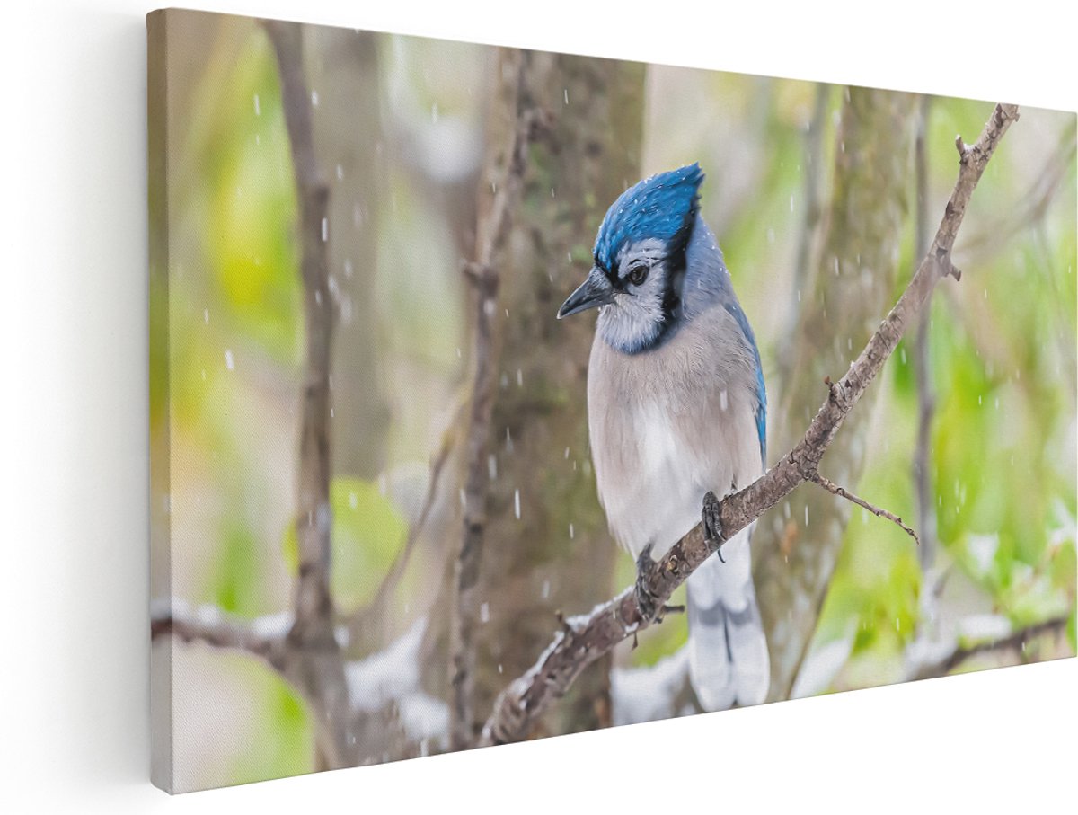 Artaza Canvas Schilderij Blauwe Gaai Vogel In De Sneeuw - 160x80 cm - Groot - Wanddecoratie Woonkamer - Schilderijen - Muurdecoratie