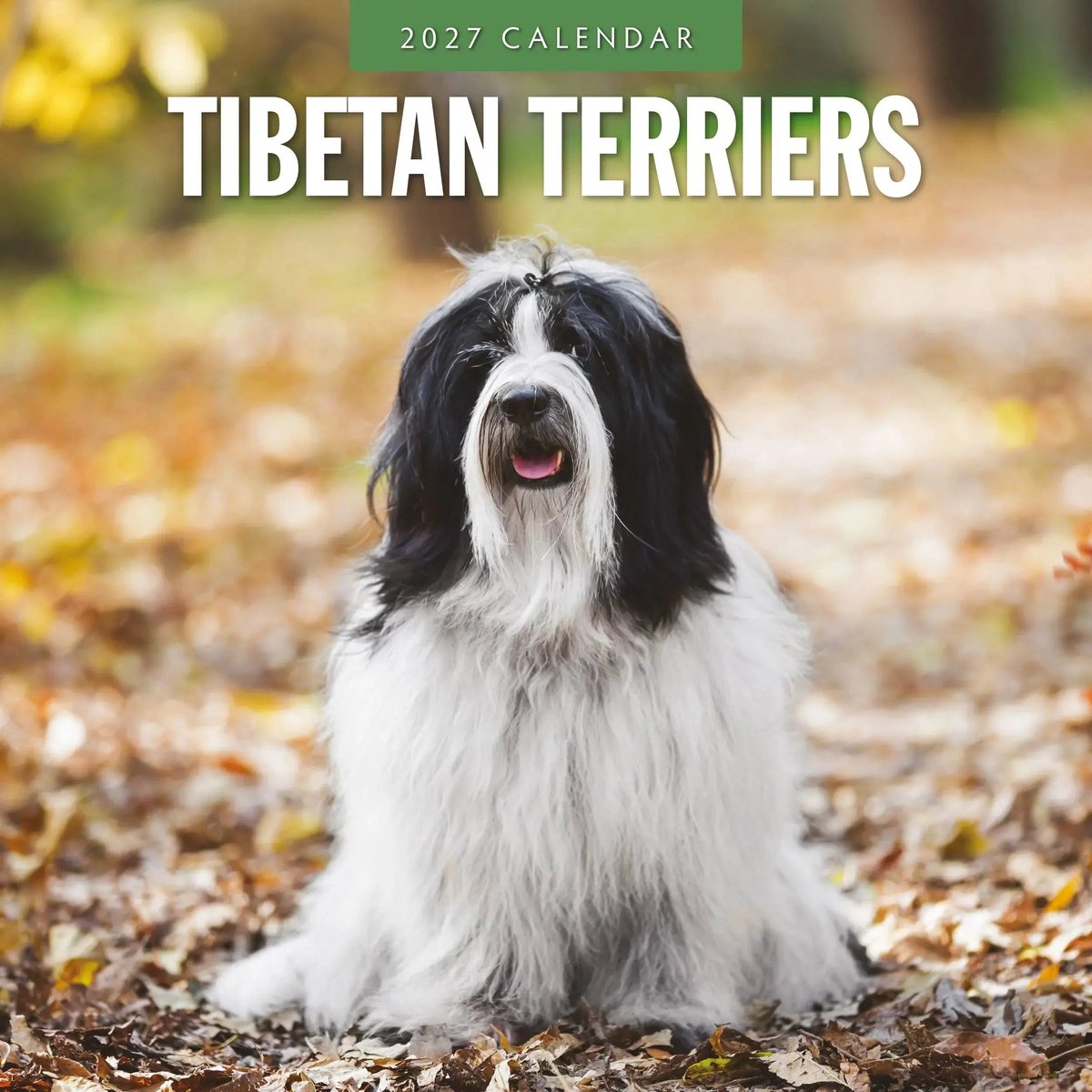 Tibetaanse Terrier Kalender 2027