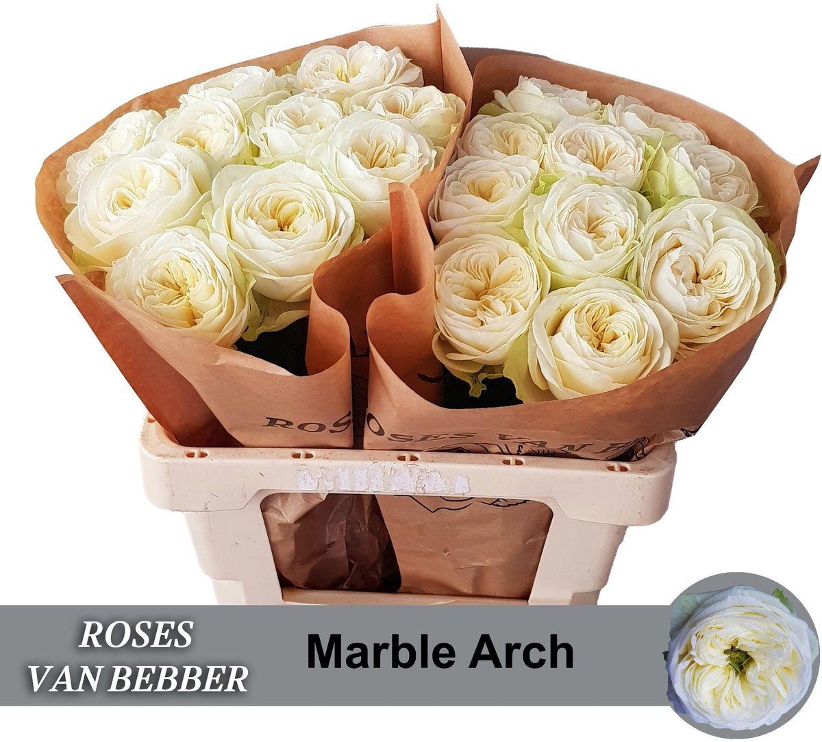 10x Rosa marble arch 50cm