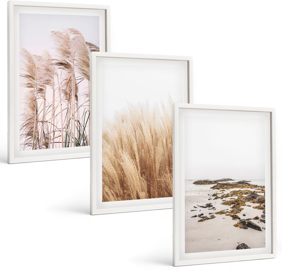 Wallfluent 3-Delige Schilderij Set - Pampasgrasvelden En Boho-Strand - 40 x 60 - Wanddecoratie - Woonkamer Decoratie - Stijlvolle Muurdecoratie