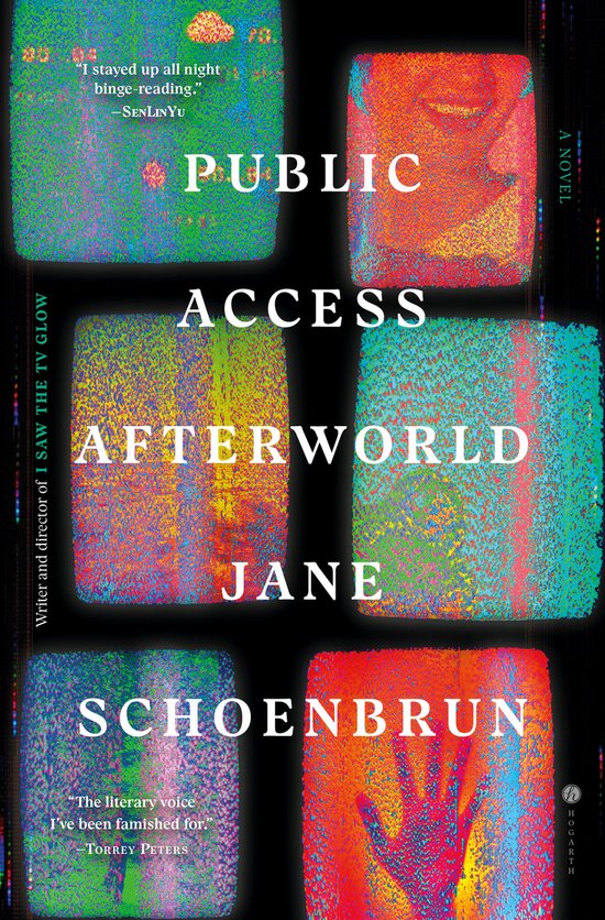 Livre Public Access Afterworld de Jane Schoenbrun. Carrés abstraits et colorés avec du texte. Titre et nom en lettres blanches.