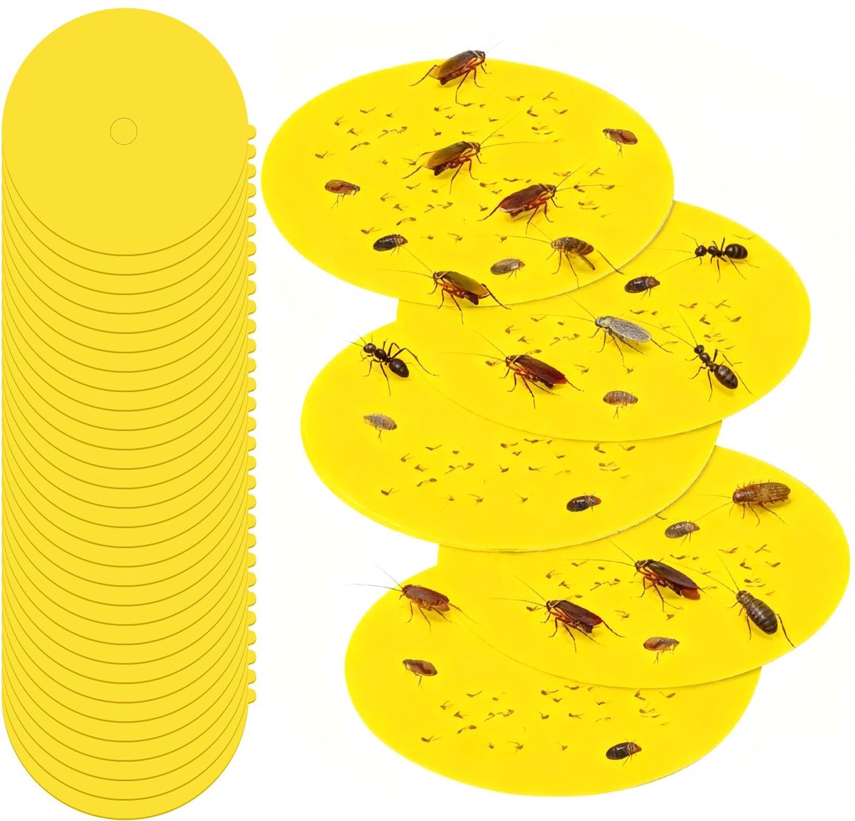 VSSHE Plantenvliegenstickers Vliegenvanger Stickers, Kleverige Vliegenvallen, Insectenvallen voor Binnen en Buiten - ShopVlot