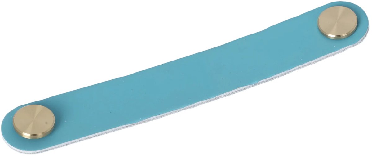 Meubelgreep leer Elena blauw 168mm geborsteld goud