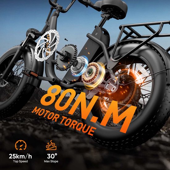 E20PRO 20"x4 elektrische fiets met uitneembare 48V 15,6Ah-accu — afbeelding 3