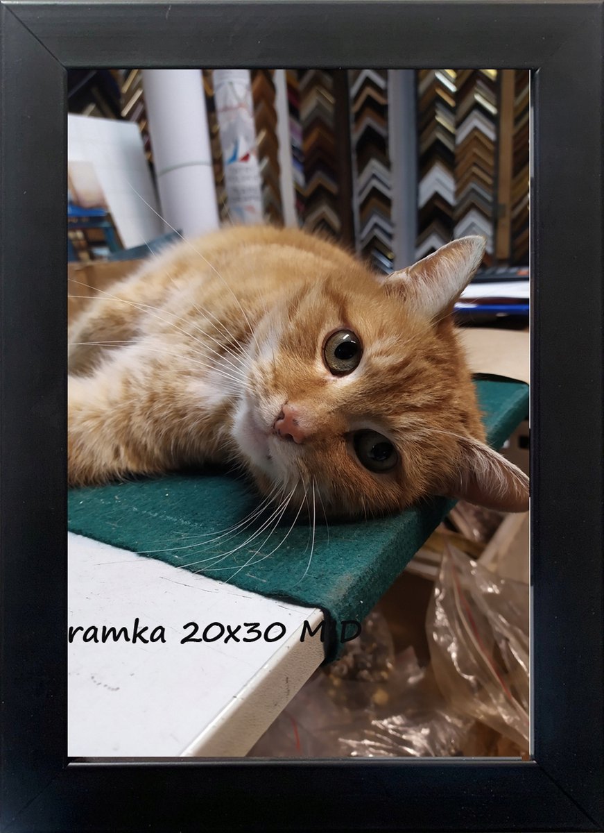 Zwarte Houten Fotolijst 20x30 cm Zwart - 20mm Profiel