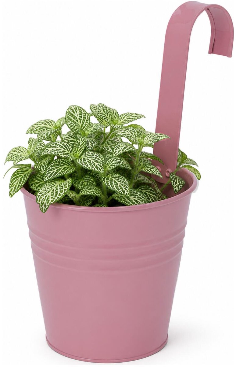 Progarden Bloempotje met haak - plantenbak zink met ophanghaak - roze - 20 x 13 x 26 cm - ophangbaar- Balkon/schutting plantenpot