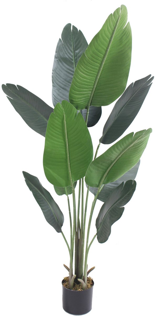 Decovego Kunstmatige Bananenboom, Gedetailleerde Kunstplant 130 cm, Nep Bananenplant voor Thuis & Kantoor, Onderhoudsvriendelijk & Allergievriendelijk