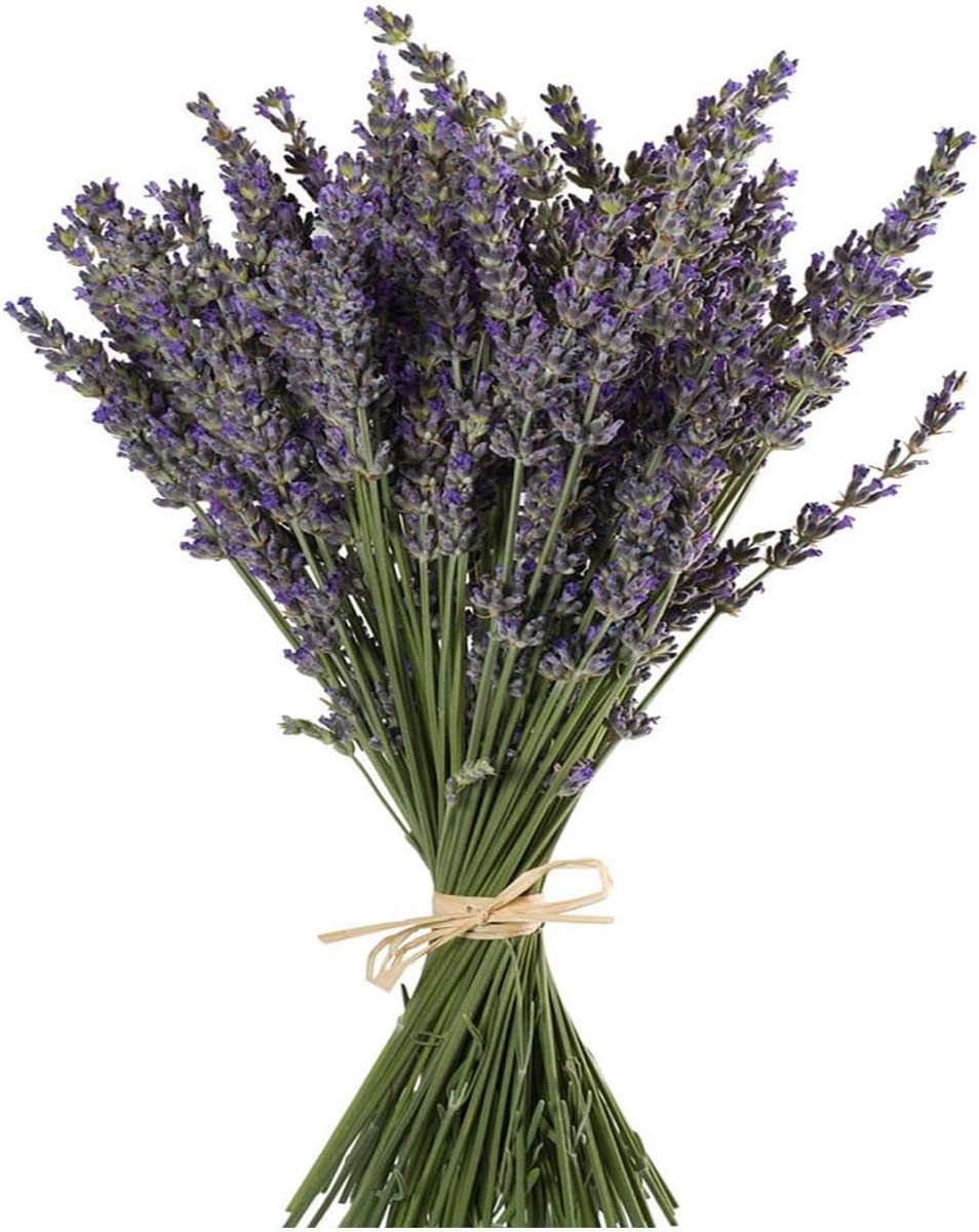 SnelShoppen - Dried Lavender Bundles 100 Stuks - 16-18 Inch Lange Natuurlijke Lavendel Bunch voor Decoratie, Ambachten, Trouwen, Cadeau en Feestelijke