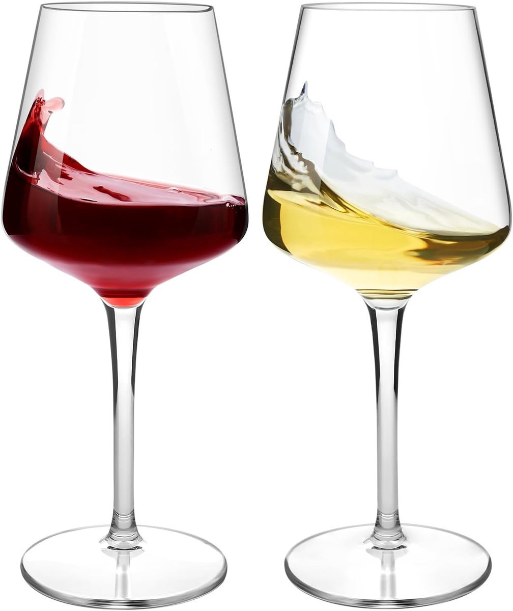 Thijox - Onbreekbare Wijnglazen Set 2-delig - Tritan Kunststof Breukveilig - 445 ml Plastic Rode- en Witwijnglazen - Perfect voor Feesten, Tuin, Campi