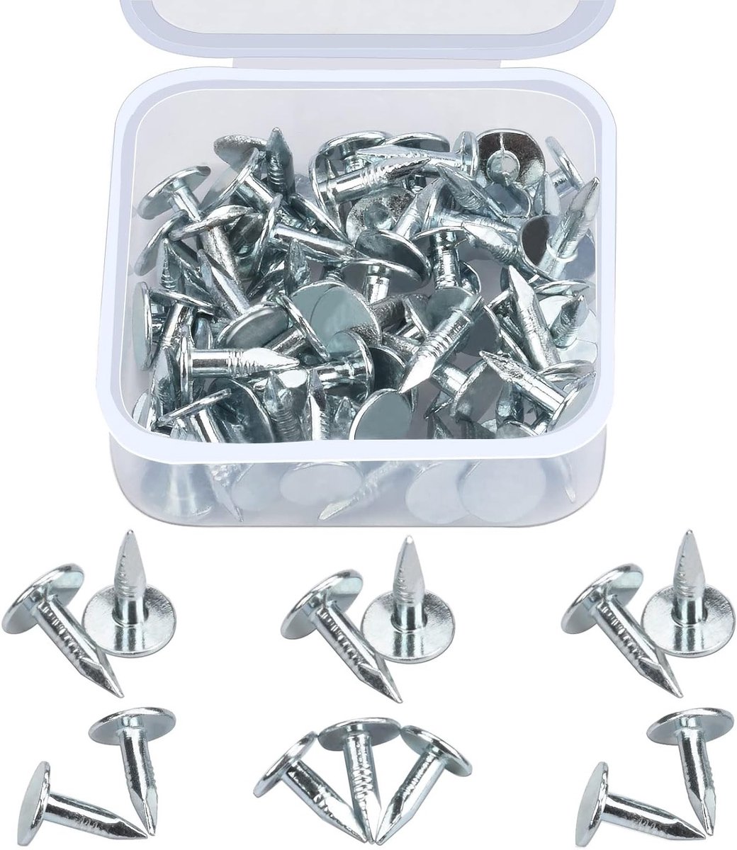 Vilten Nagels - Dakbedekking Tacks - Schuurdak Reparatie - Gegalvaniseerde Legering - 100 Stuks - Zilver