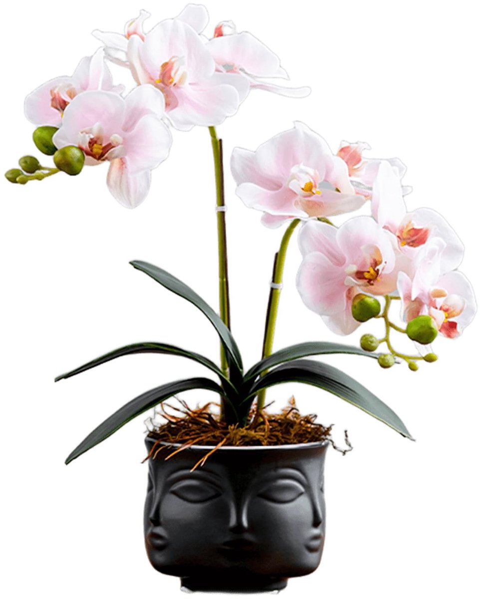 Dailygoods- Kunstbloem Blush Pink - Kunstbloemen Boeket - Nep Planten voor Binnen - Kunstbloemen met Vaas - Kunstbloemen voor Buiten - Perfectie in Details - Nepplant