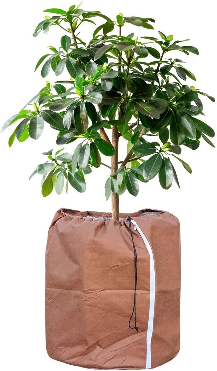 Dailygoods - Tesmotor Thermo potbescherming, potplanten, beschermzak voor planten, winter, potbescherming met trekkoord, 60 x 90 cm